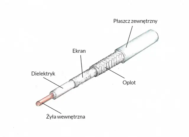 Przekrój kabla antenowego z widocznymi warstwami: żyłą, dielektrykiem, ekranem, opletem i płaszczem.