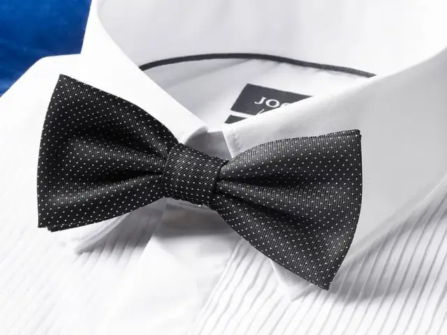 Jak założyć muchę na haczyk i uniknąć najczęstszych błędów