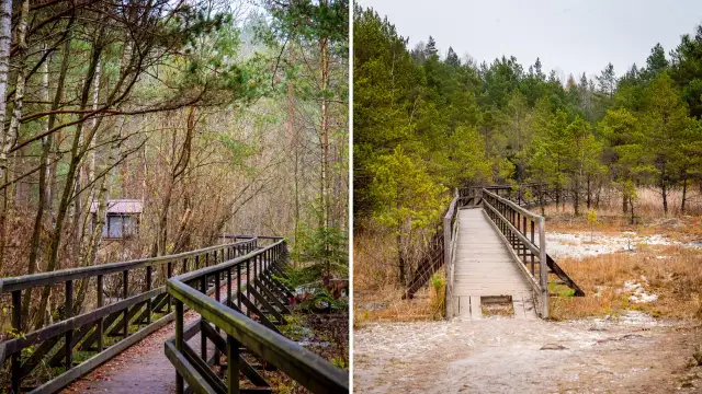 Góry Świętokrzyskie: TOP atrakcje, szlaki, zamki i parki dla rodzin