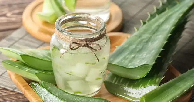 Aloes do picia: Co musisz wiedzieć? Właściwości, dawkowanie, ryzyko