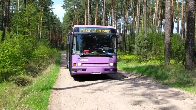 Jak oznakować holowane auto? Uniknij mandatu i jedź bezpiecznie!