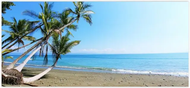 Kostaryka kiedy jechać: uniknij deszczu i ciesz się słońcem