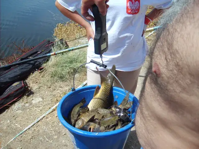 Najlepsze zanęty zawodnicze na płoć - skuteczne metody i porady