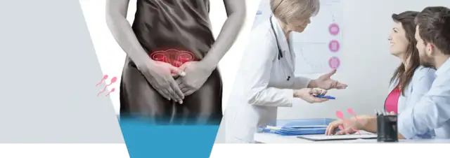 Czy endokrynolog bada ginekologicznie? Fakty, które musisz znać