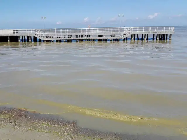 Sinice w Bałtyku: Rozpoznaj zagrożenie i bezpiecznie wypoczywaj!