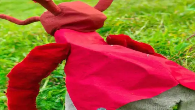 Jak zrobić strój mrówki dla dziecka, który zachwyci wszystkich?