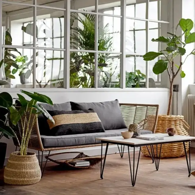 Jak ustawić kwiaty w domu, aby stworzyć piękną i zdrową przestrzeń