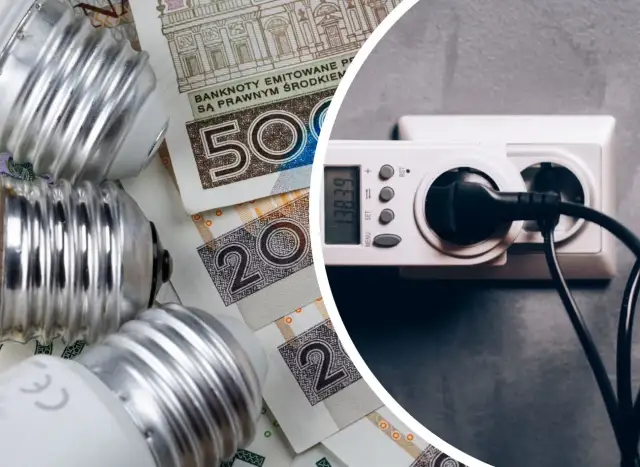 Żarówki i polskie banknoty obok licznika energii elektrycznej. Zastanawiasz się, ile kwh zużywa dom dziennie?