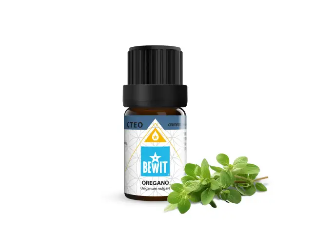 Olejek z oregano: Wybierz premium! Gdzie kupić i na co uważać?