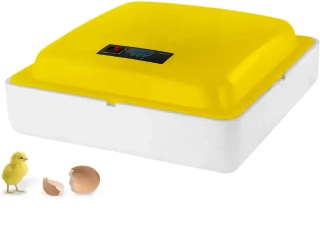 Ile prądu zużywa inkubator? Sprawdź, jak zaoszczędzić na energii