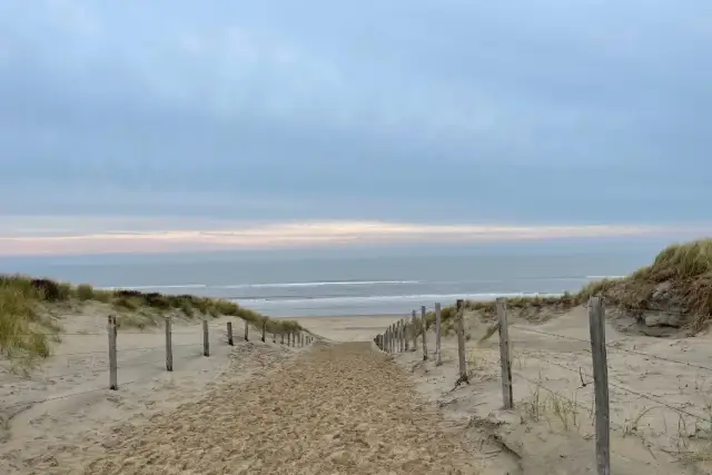 Spiagge Amsterdam: Guida alle Mete Vicine (Zandvoort, Scheveningen)