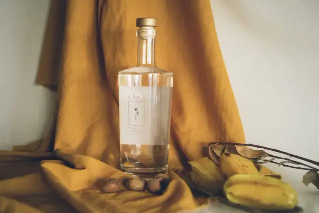 Butelka Cachaça Cãna, brazylijskiego alkoholu z trzciny cukrowej, otoczona owocami i suchymi liśćmi. Cachaca co to? To brazylijski skarb!