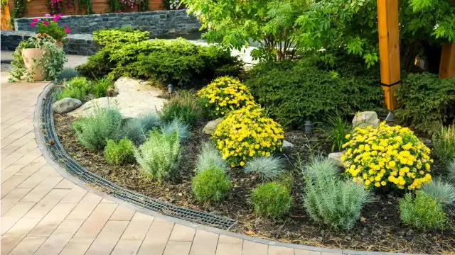 Ogród przed domem: Jak stworzyć wizytówkę, która zachwyca?