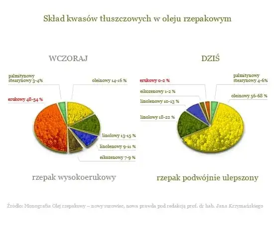 Czy olej rzepakowy to olej roślinny? Odkryj jego zdrowotne właściwości