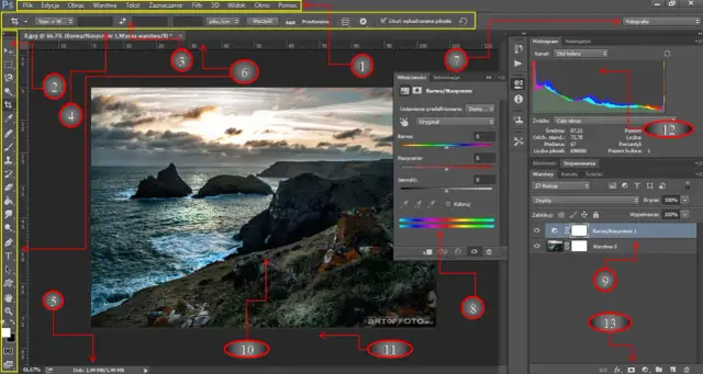 Photoshop: Co to jest? Zrozum program i wybierz najlepsze narzędzie