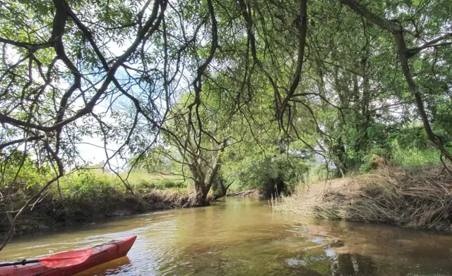 Spływy kajakowe Piaseczno: Jeziorka i okolice Twój przewodnik!