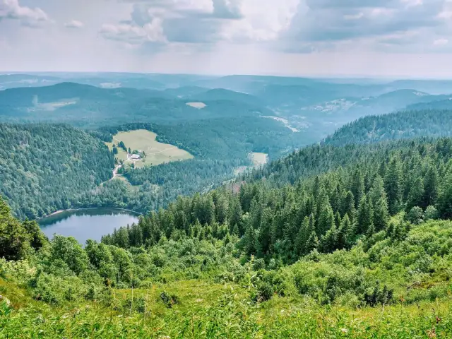 Widok na jezioro otoczone lasami i pagórkami. To jedno z najpiękniejszych miejsc w Schwarzwaldzie, gdzie natura zachwyca spokojem i zielenią.