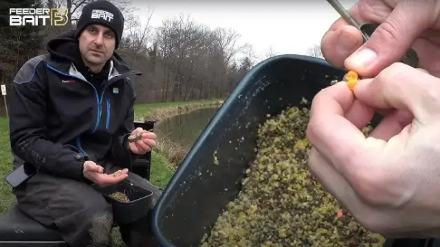 Morwa na ryby: Tajna broń wędkarza? Jak łowić skutecznie.