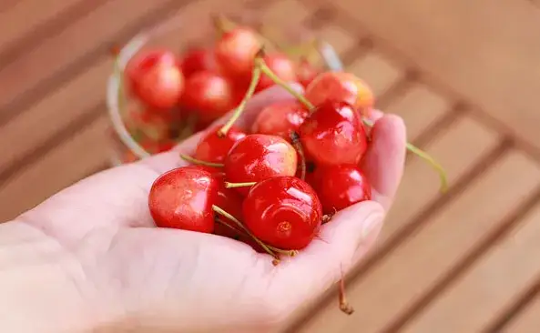 Ile kalorii ma kilogram czereśni? Zaskakujące fakty o ich wartości odżywczej