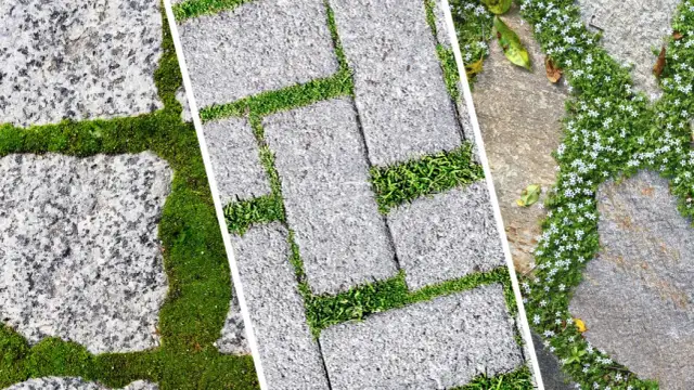 Czym zasypać kostkę brukową, aby uniknąć problemów z trwałością?