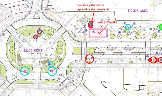 Jak oznacza się drzewa do wycinki? Oznaczenia, które musisz znać