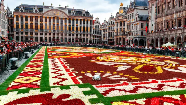 Przystanki autobusowe Bruksela: Zaventem czy Charleroi? Sprawdź!