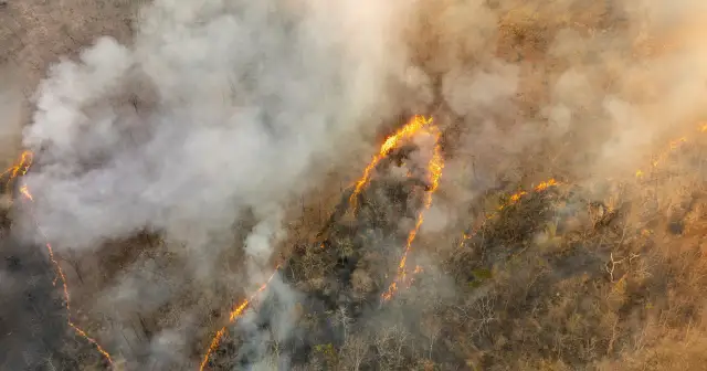 Globalne emisje CO2: Rekordy, liderzy, prognozy. Czy zatrzymamy wzrost?