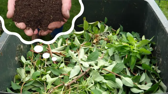 Jak długo robi się kompost? Odkryj sekrety szybkiego kompostowania