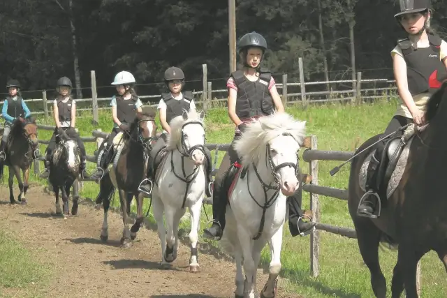 Stadnina koni Czołowo - idealne miejsce na naukę jazdy konnej