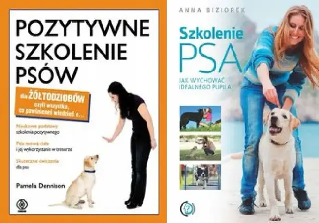 Domowe szkolenie psa: Poradnik krok po kroku dla każdego