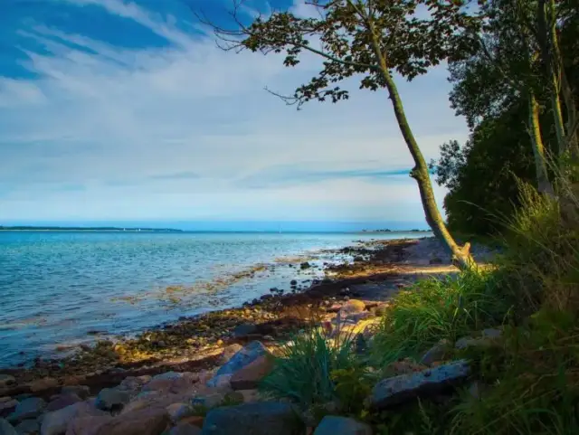 Ciekawe atrakcje w Krynicy Morskiej, które musisz zobaczyć