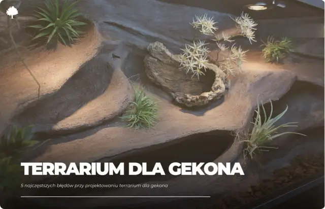 Rośliny do terrarium gekona orzęsionego: Co wybrać, czego unikać?