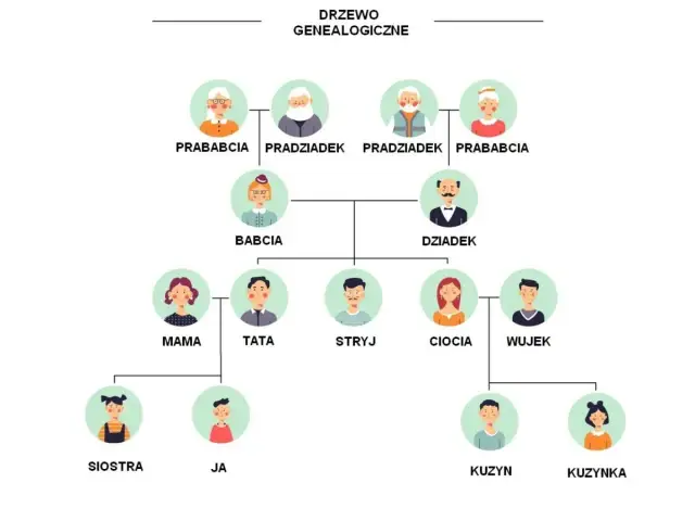 Drzewo genealogiczne definicja dla dzieci: pokazuje, jak rodzina jest ze sobą połączona, od pradziadków po wnuki.