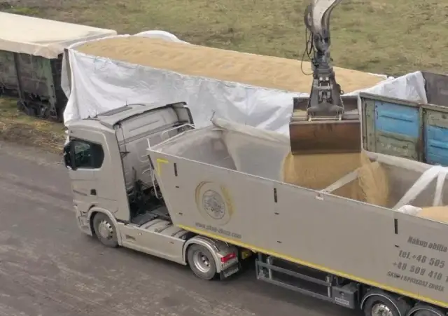 Jakie firmy kupiły zboże z Ukrainy? Oto zaskakujące dane i szczegóły