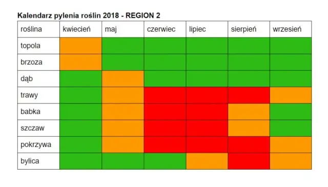 Co pyli w czerwcu? Alergia na trawy i inne pyłki jak sobie radzić