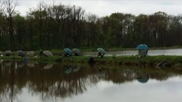 łowisko u Macieja – idealne miejsce na wędkowanie w Mosinie