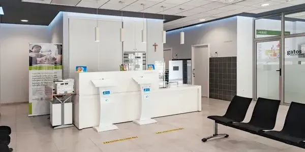 Hospital veterinario de la universidad católica de valencia: servicios y especialidades para tus mascotas