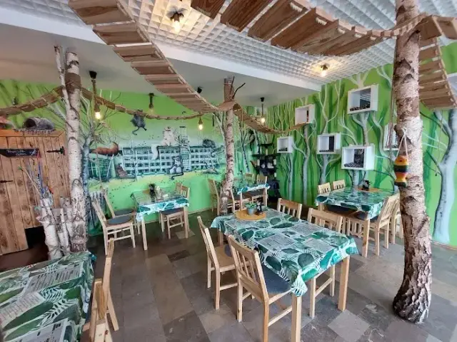 Koszalin: Gdzie zjeść? Najlepsze restauracje na każdą okazję!