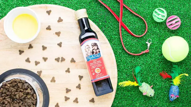 Olej rzepakowy dla psa: czy jest bezpieczny? Dawkowanie i alternatywy