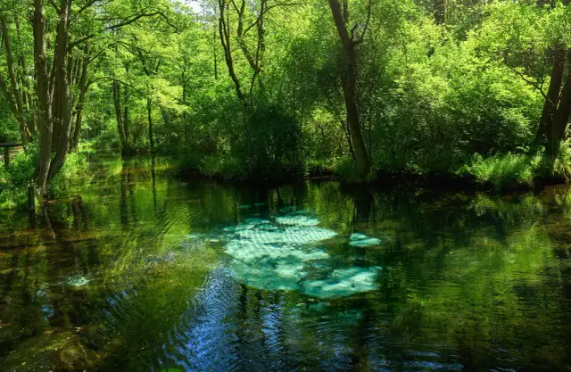 Tomaszów Mazowiecki: Odkryj atrakcje, Niebieskie Źródła i gotowy plan