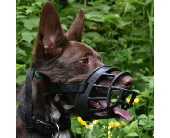 Kaganiec fizjologiczny dla owczarka: Komfort i bezpieczeństwo