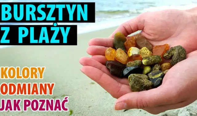 Jak wygląda bursztyn z morza? Odkryj jego nieznane cechy i kolory