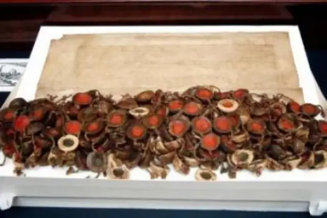 Jakie były przyczyny uchwalenia aktu konfederacji warszawskiej?