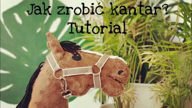 Jak zrobić kantar dla konia - prosty sposób na własnoręczne wykonanie