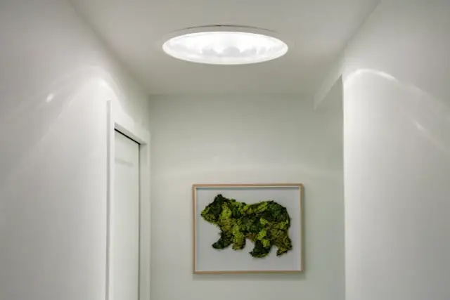 Świetlik dachowy: Jasny dom, niższe rachunki. Jak wybrać i zamontować?