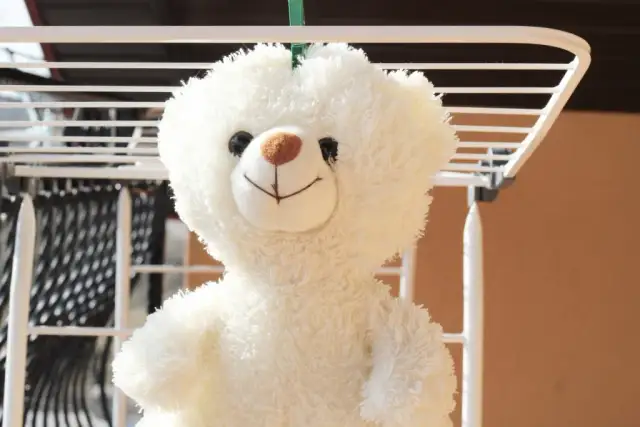 Jak prać pluszowe maskotki, aby nie zniszczyć ich kształtu i miękkości