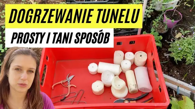 Jak ogrzać tunel foliowy w razie przymrozków i uratować rośliny