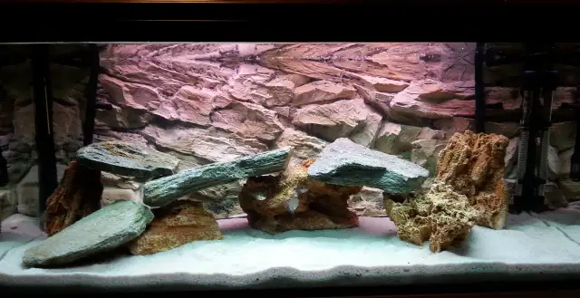 Jak bezpiecznie kleić kamienie w akwarium - najlepsze metody i porady