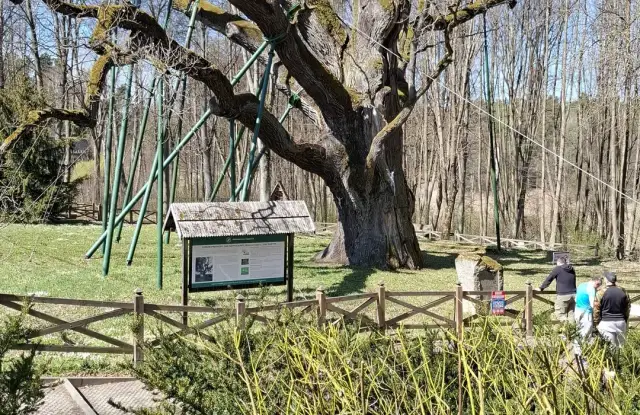 Zagnańsk atrakcje: Odkryj najciekawsze miejsca i niezapomniane wrażenia