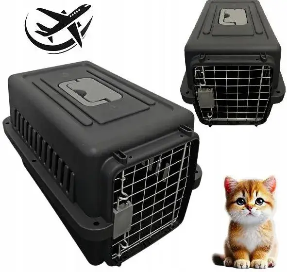 Transporter plastikowy dla kota: przewodnik po wyborze i bezpieczeństwie